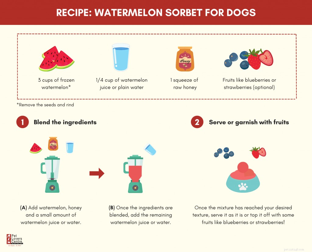 Les chiens peuvent-ils manger de la pastèque ? – Avec les conseils des vétérinaires