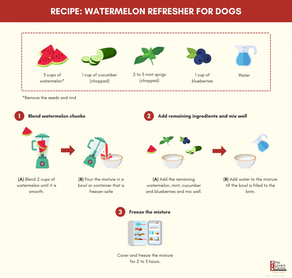 Kan hundar äta vattenmelon? – Med råd från veterinärer