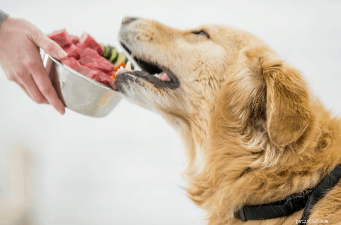 Необработанный альтернативный корм для собак:что это такое и почему он полезен для вашей собаки