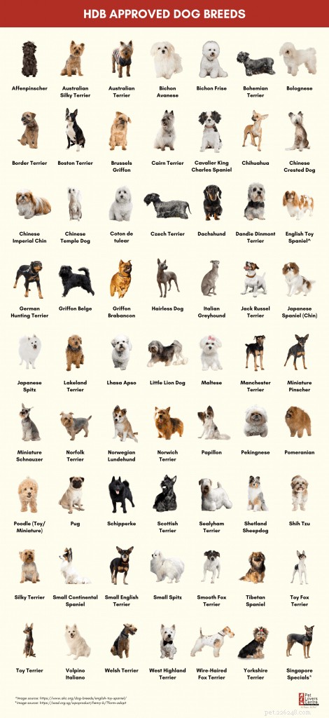 63 породы собак, одобренные HDB для принятия + новые критерии размера в рамках проекта ADORE в марте 2020 г.