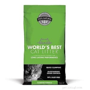 Come scegliere la migliore lettiera per gatti a Singapore (consigli di 339 proprietari di gatti) compresi i consigli sui prodotti