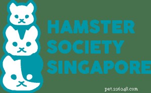 싱가포르의 햄스터 입양:입양을 위한 5가지 최고의 플랫폼 + 중요한 햄스터 사실