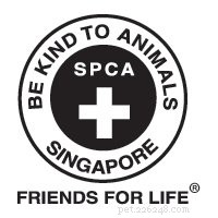 Adopce králíka v Singapuru:6 míst k adopci chlupatého společníka + věci, které musíte vědět