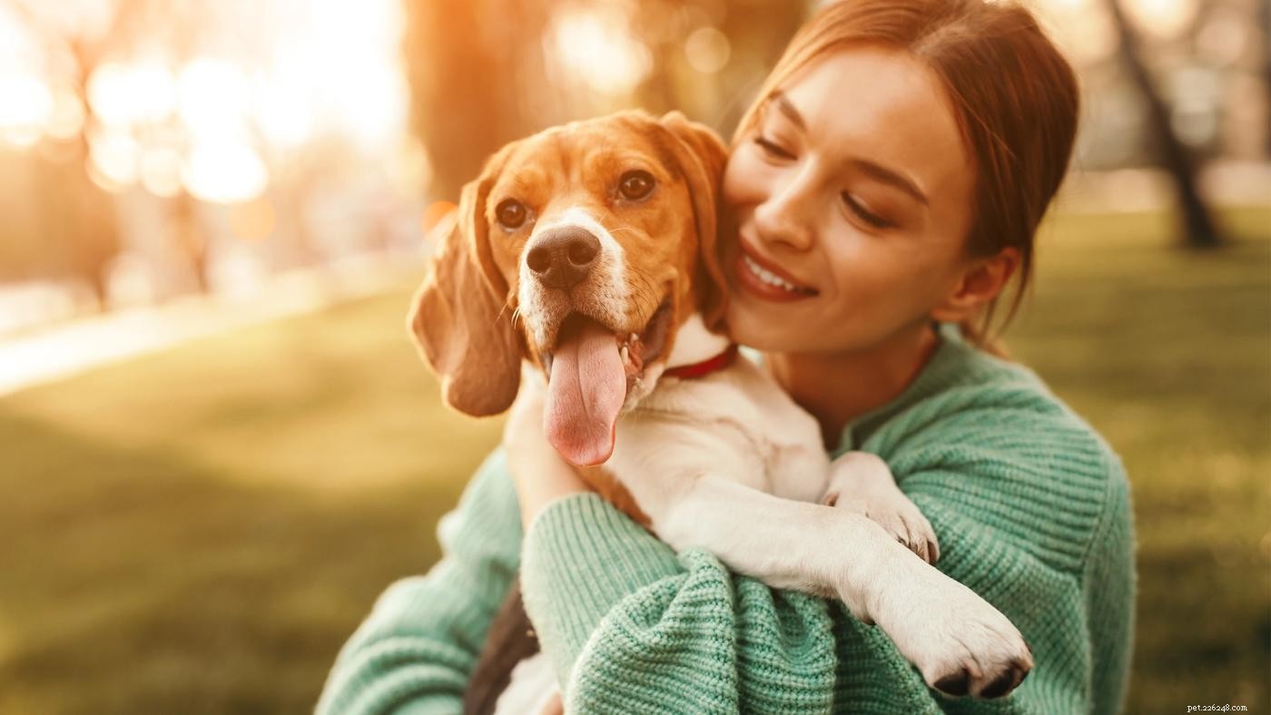 Cane sensibile al tatto:guida all addestramento del cane