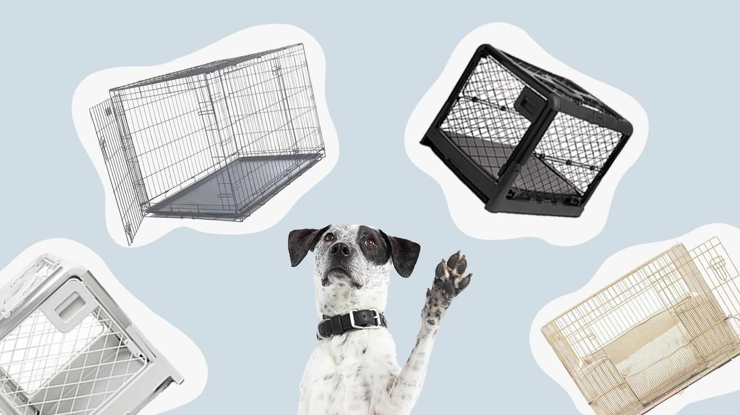Dog Crates 101：あなたの子犬にぴったりのクレートを選ぶ方法 