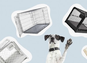 Dog Crates 101：あなたの子犬にぴったりのクレートを選ぶ方法 