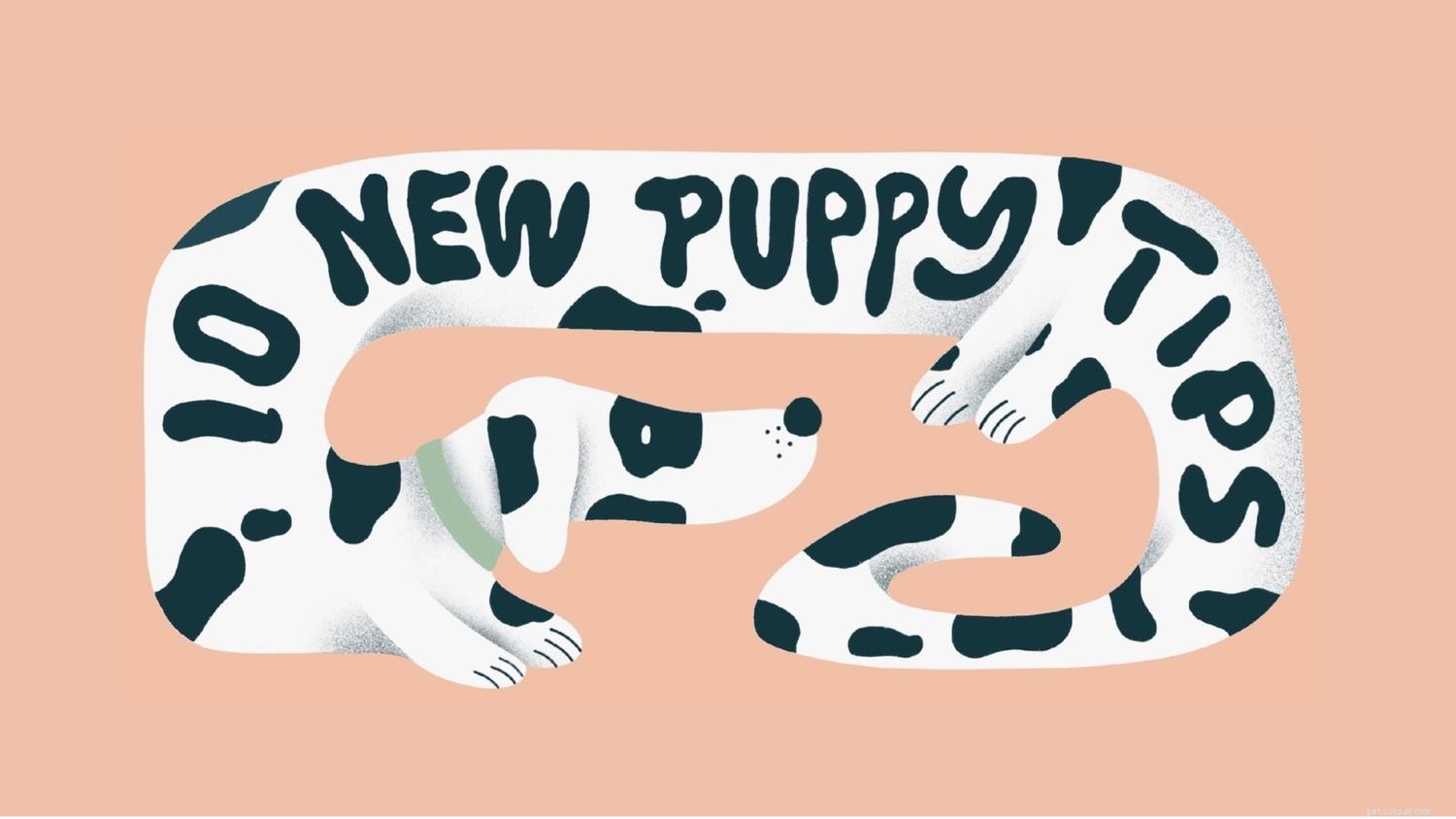 10 nieuwe puppytips die je moet kennen