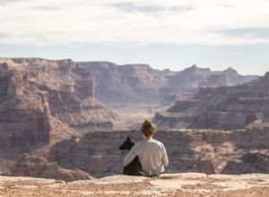 Você, seu cão e um mundo de diversão! Top 10 coisas emocionantes para fazer com seu cão fora 