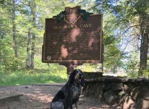 Cortesia canina durante caminhada nas trilhas de Hocking Hills