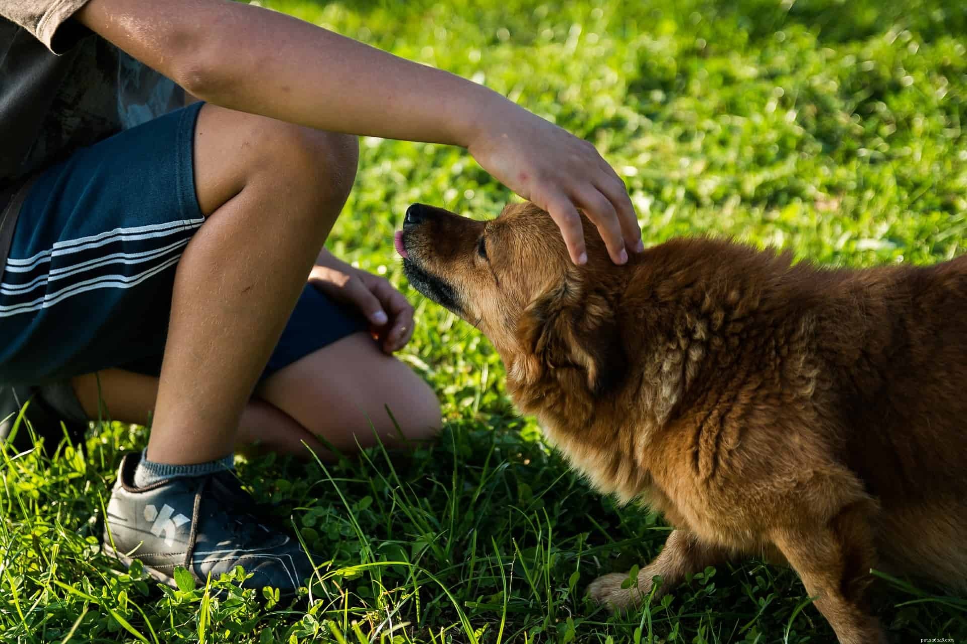 Omgaan met verdriet nadat je hond weg is:praten met je kinderen