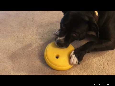 Giocattolo per cani Game Changer:perfetto per i  masticatori pesanti 
