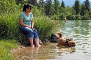 Wandelen en kamperen met je hond:bereid je voor