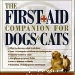 Första hjälpen-kit för din hund – förbered dig nu!