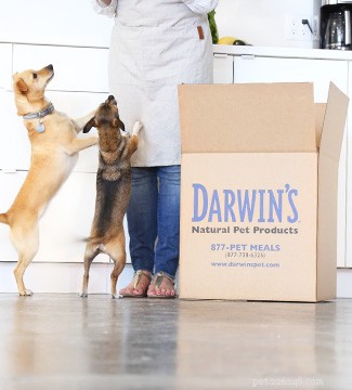 REVISÃO DO PRODUTO:Produtos naturais para animais de estimação de Darwin