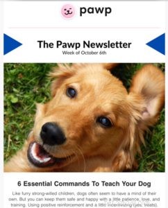 Pawp.com, ett bra alternativ för husdjursförsäkring