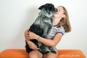 しこりやこぶを理解するための究極の盲導犬ガイド 