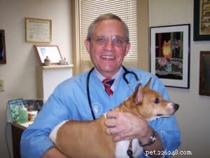 당신의 개에게 적합한 수의사를 찾을 때 고려해야 할 9가지 주요 사항
