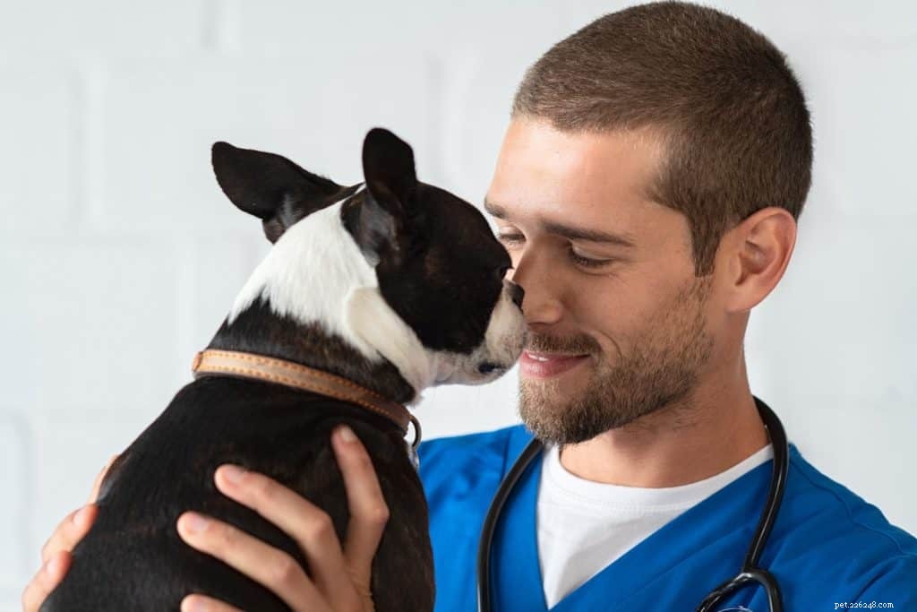 Nejlepších 9 věcí, které je třeba zvážit při hledání toho správného veterináře pro vašeho psa