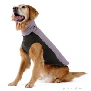 Mon animal doit-il porter un manteau d hiver pour chien ?