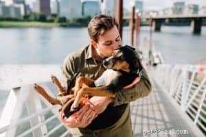 Hur du håller din hund frisk under covid-19-pandemin