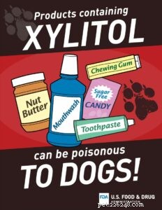 Het probleem met xylitol en uw hond
