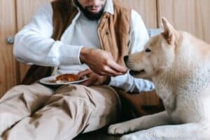 Mata människor mat till hundar:Vad är sanningen?