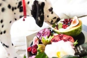 犬の野菜：あなたの犬の健康に良い5つの果物と野菜 