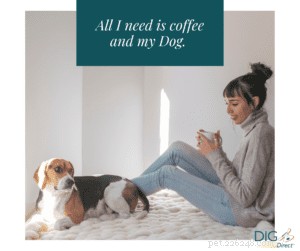 Café e seu cachorro