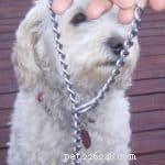 犬のしつけ用首輪の適切な使用と適合 