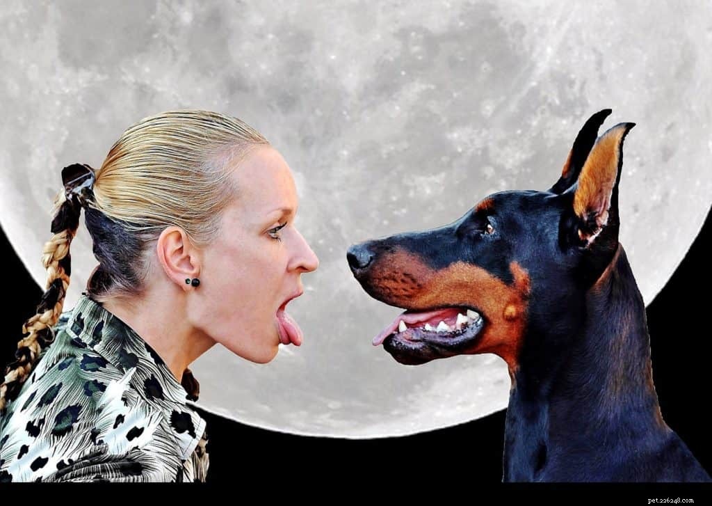 Porozumění tajnému jazyku psů:Proč se učit psí řeč