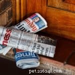 TRUCCO CON IL CANE:ricevere il giornale (o la posta)