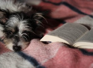Knihy o neslyšících psech