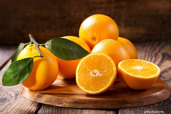 Kunnen honden sinaasappels eten? We pellen de lagen terug