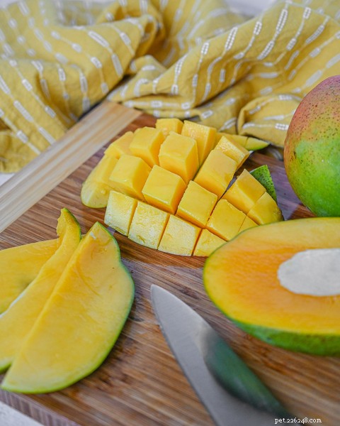 Kan hundar äta mango? Söta fakta om denna frukt