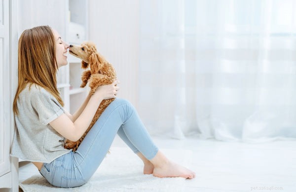 Perché il tuo cane starnutisce? Cause comuni e preoccupanti