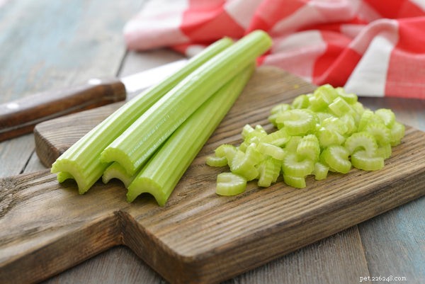 Můžou psi jíst celer? Jak tato svačina ovlivňuje vašeho mazlíčka