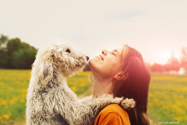 Hondenconstipatie:wat u moet weten als uw hond niet kan gaan