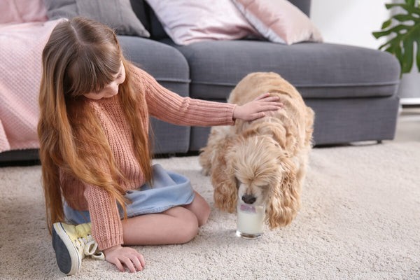 Kan hundar vara laktosintoleranta? Sanningen om hundar och mejeri