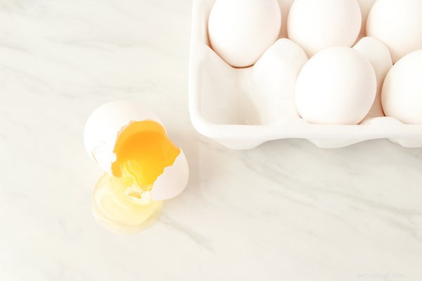 Kan min hund äta ägg? Är råa ägg säkra för min hund?