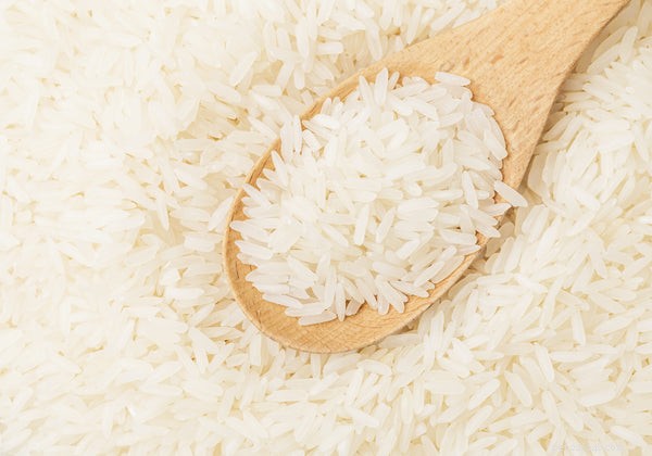 개는 흰 쌀을 먹을 수 있습니까? 쌀은 개에게 안전한가요?