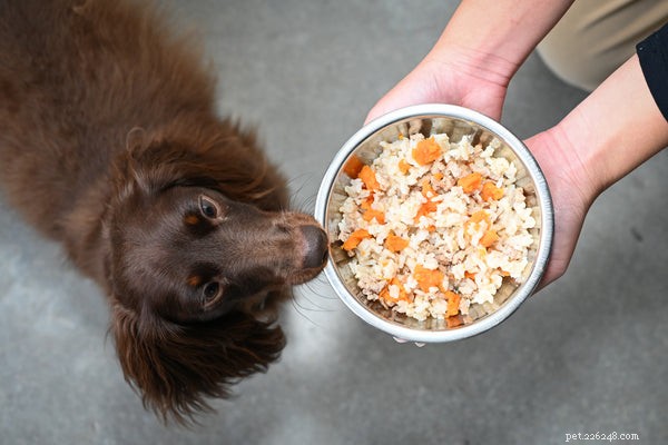 Могут ли собаки есть коричневый рис? Белый или коричневый рис — что лучше?