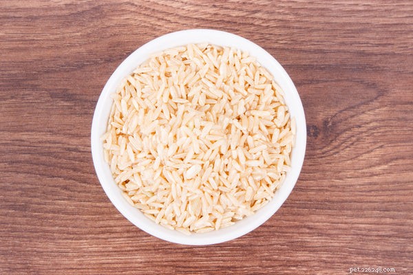 I cani possono mangiare riso integrale? Riso bianco o integrale:qual è il migliore?