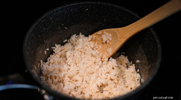 I cani possono mangiare riso integrale? Riso bianco o integrale:qual è il migliore?