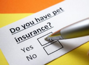 The New Employee Benefit:Pet Insurance