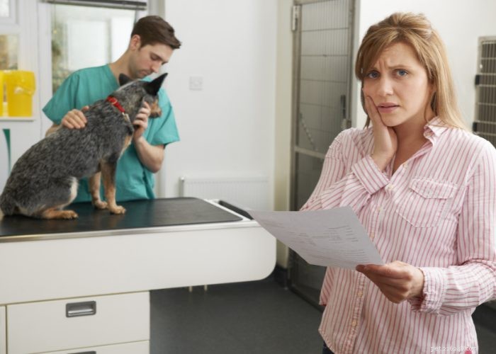 Пособие для новых сотрудников:страхование домашних животных
