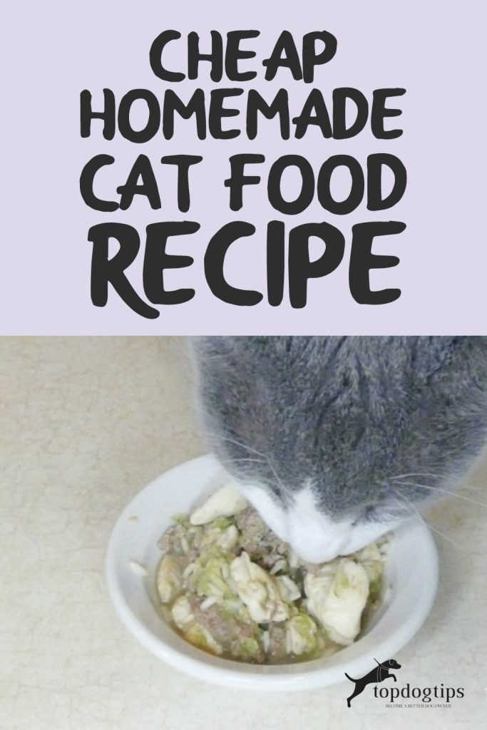 Recept na levné domácí krmivo pro kočky