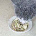 Recette de nourriture pour chat maison bon marché