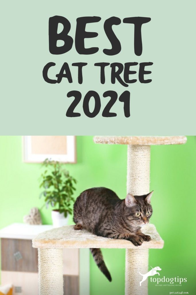 Bästa kattträd 2021 – En köpguide och våra bästa val för kattdjur