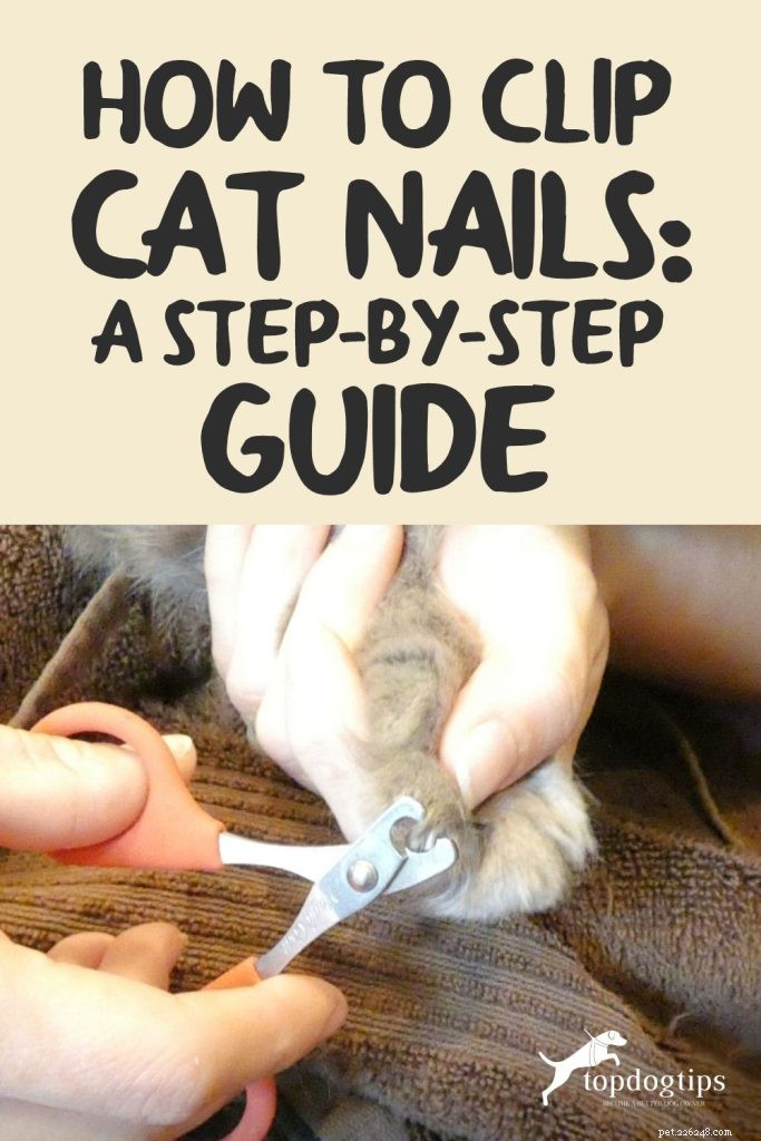 Come tagliare le unghie di gatto:una guida passo passo