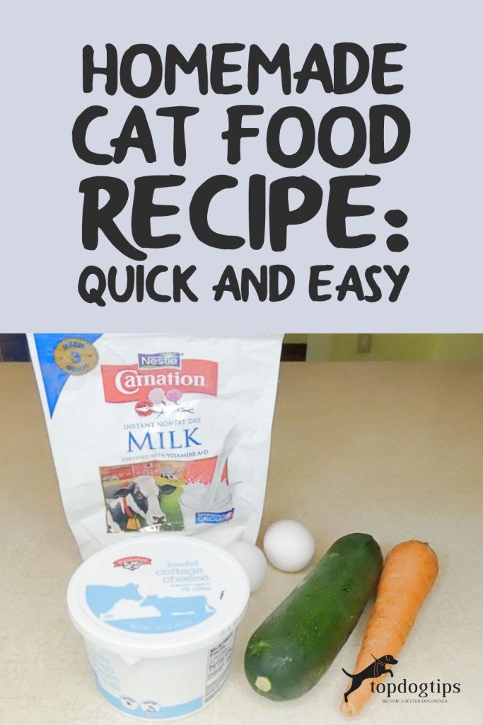 Recept na domácí krmivo pro kočky:rychlé a snadné